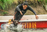 /album/fotogaleria-inicio4/ploter25-jpg/