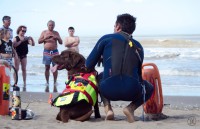 /album/fotogaleria-inicio4/ploter28-jpg/