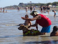 /album/fotogaleria-inicio4/img-20200126-wa0014-jpg/