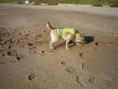 /album/fotogaleria/choper-jpg1/