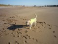 /album/fotogaleria/playa2-jpg1/