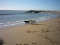 /album/fotogaleria/playa-jpg1/