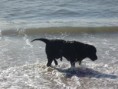 /album/fotogaleria/dixieplaya-jpg1/