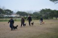 /album/fotogaleria/curso2-jpg1/