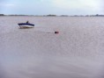 /album/fotogaleria/vitel225-jpg/